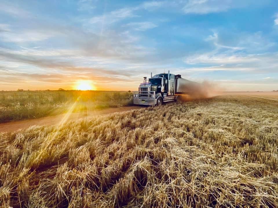 NFF welcomes Trade Diversification Network announcement